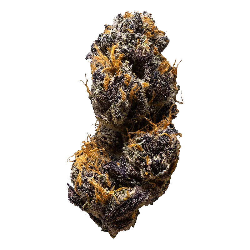 Close-up, top-down view of a dense, purple and orange trichome-covered nugget labeled Tagalongz.