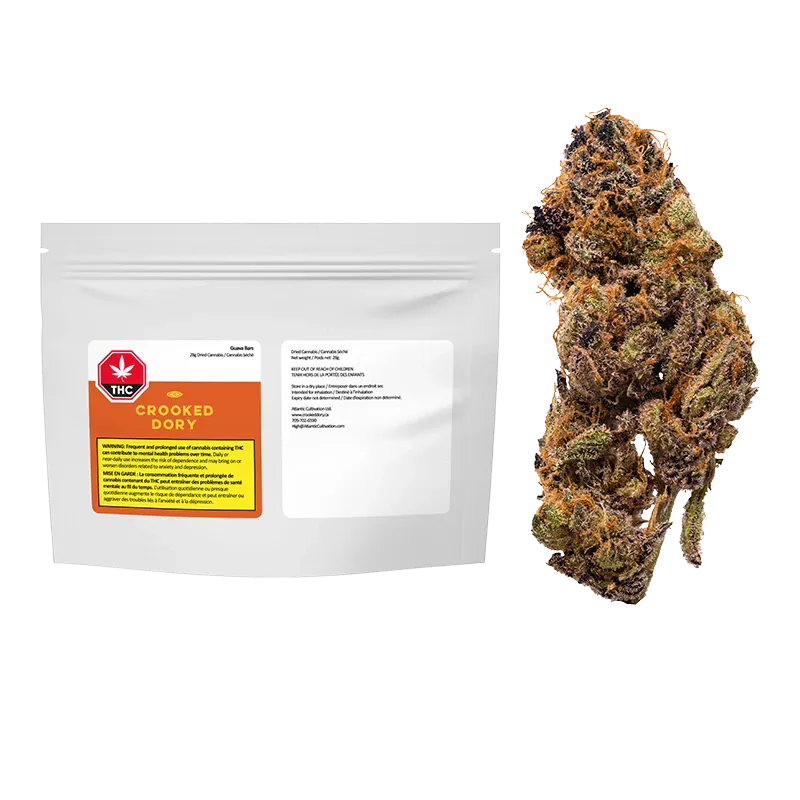 White resealable pouch with a labeled orange panel shown beside a close-up cannabis bud, labeled Guava Barz.
