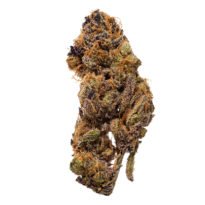 Top-down close-up of a single dried bud showcasing the green, purple, and orange hairs of the Guava Barz.