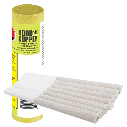 Angled view of a Good Supply Winter Frost PR 7 x 0.5 g tube standing behind a neat row of seven light gray pre-rolls on a white background