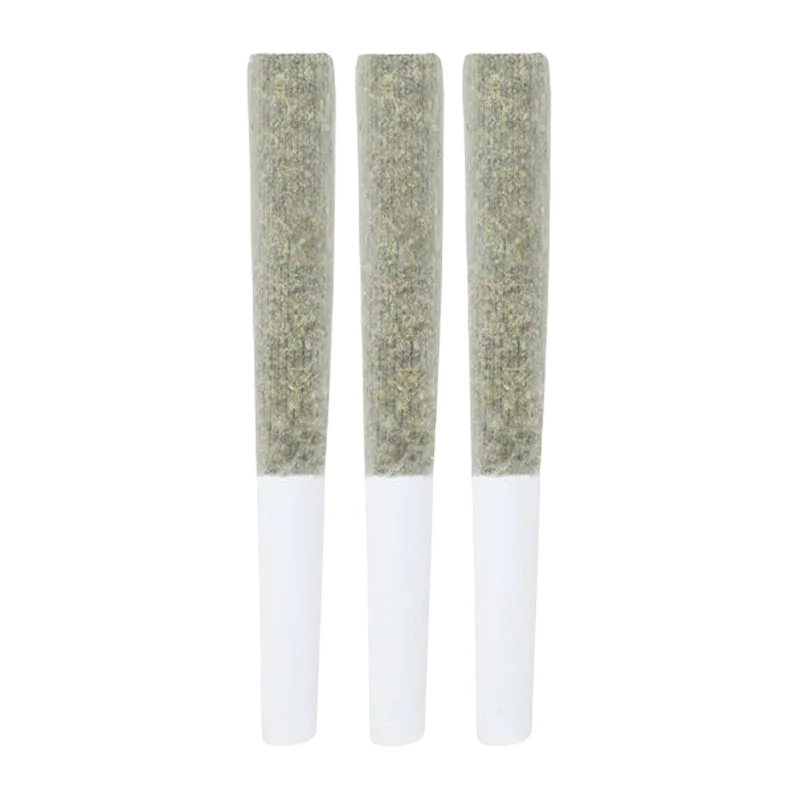 Three pre-rolled joints shown upright in a row against a white background, labeled Jack Truffle PR 3 x 0.5 g.