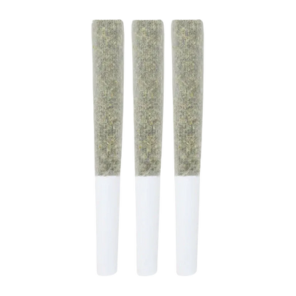 Three pre-rolled joints shown upright in a row against a white background, labeled Jack Truffle PR 3 x 0.5 g.