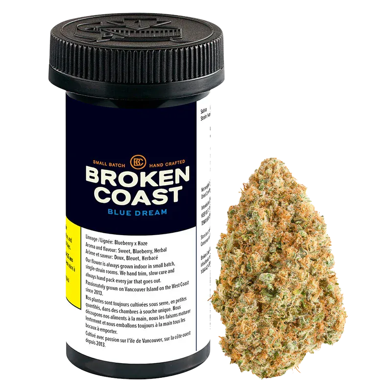 Front-facing shot of a Broken Coast Blue Dream 7 g container with its navy label and black cap beside a single conical cannabis bud.