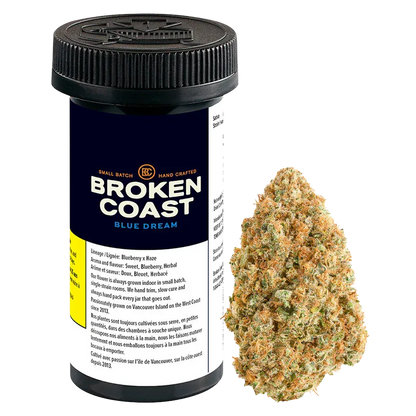 Front-facing shot of a Broken Coast Blue Dream 7 g container with its navy label and black cap beside a single conical cannabis bud.