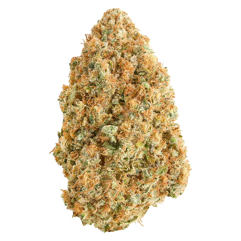 Close-up front view of the bud labeled "Blue Dream," showing dense green and orange trichome-covered clusters against a white background.