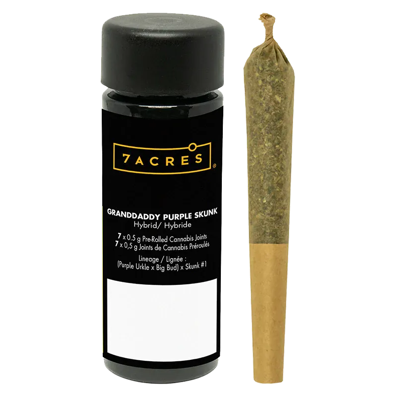 Front view of a black 7ACRES Granddaddy Purple Skunk PR 7 x 0.5 g container with label visible next to a single pre-rolled joint.