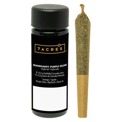 Front view of a black 7ACRES Granddaddy Purple Skunk PR 7 x 0.5 g container with label visible next to a single pre-rolled joint.