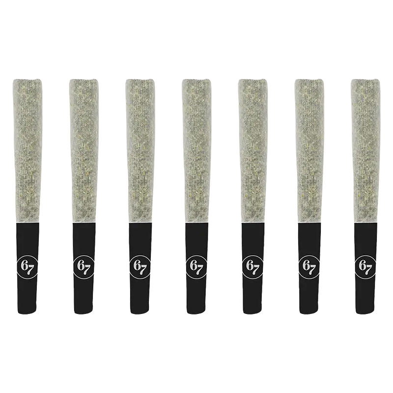 Row of eight upright Gas Face PR 7 x 0.5 g pre-rolls with black branded filters on a white background.