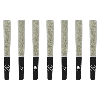 Row of eight upright Gas Face PR 7 x 0.5 g pre-rolls with black branded filters on a white background.