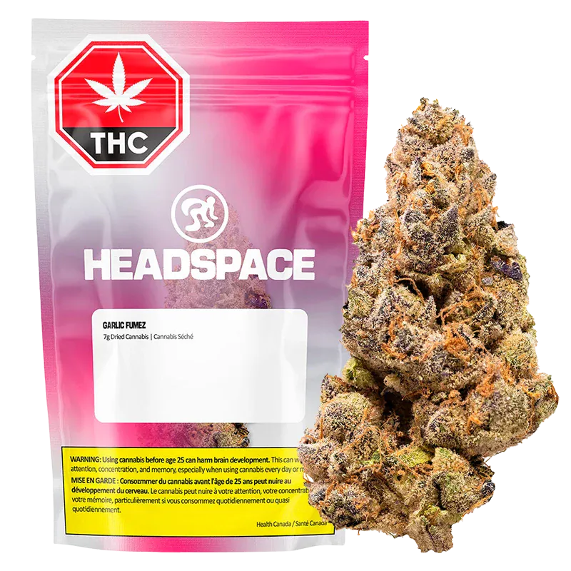 Front-facing shot of a pink Headspace Garlic Fumez pouch with a visible white label and a large cannabis bud positioned to its right.