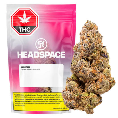 Front-facing shot of a pink Headspace Garlic Fumez pouch with a visible white label and a large cannabis bud positioned to its right.