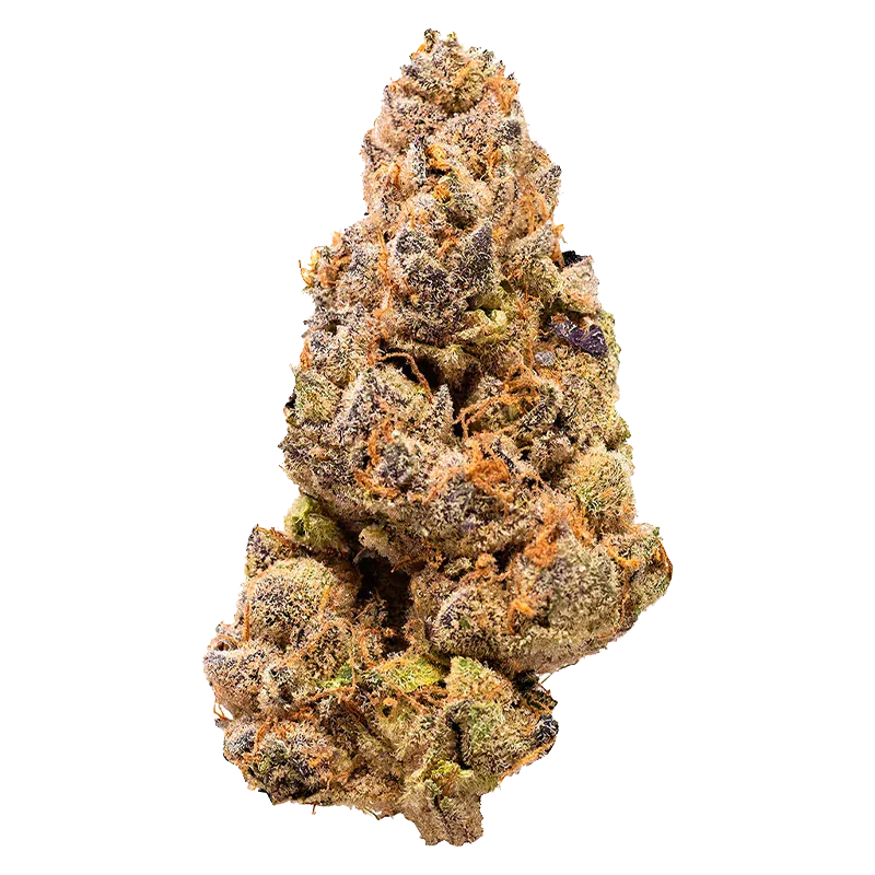 Close-up front view of a single dense nugget of Garlic Fumez showing frosty trichomes, orange hairs, and purple-green coloration.