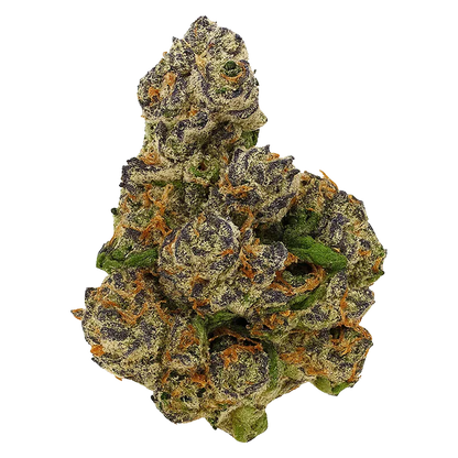 Close-up front view of a single dense bud of OG showing purple-tinted leaves, bright orange hairs, and frosty trichomes.