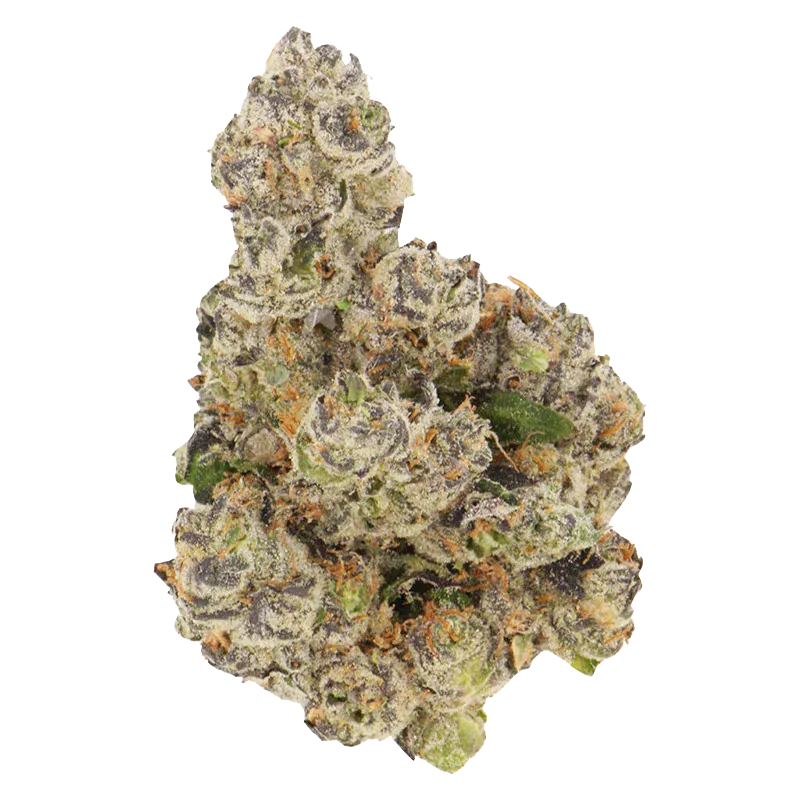Close-up top-down view of a frosty, pale green and purple bud of Honeycomb Haze against a white background.