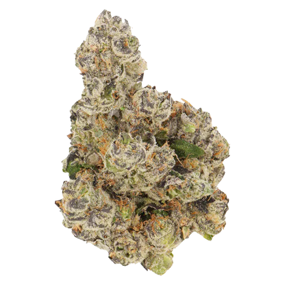 Close-up top-down view of a frosty, pale green and purple bud of Honeycomb Haze against a white background.