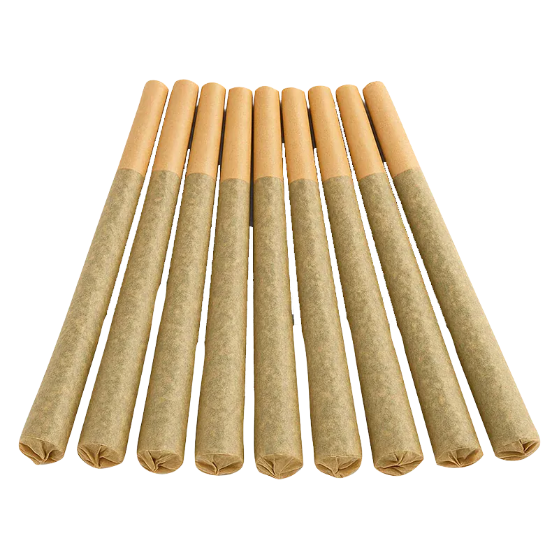 Angled top-down view of ten pre-rolled joints arranged in a neat row, showing the tan filters and brown paper of the Stingerz PR 10 x 0.35 g.