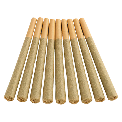 Angled top-down view of ten pre-rolled joints arranged in a neat row, showing the tan filters and brown paper of the Stingerz PR 10 x 0.35 g.