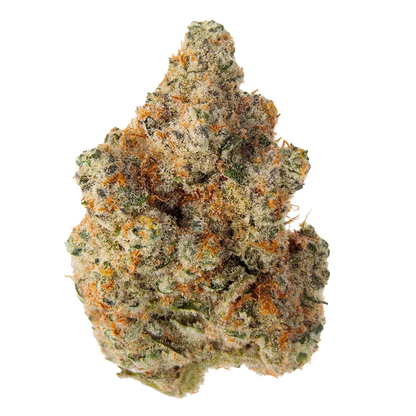 Close-up front view of the dense, frosty Masterpiece cannabis bud showing green and orange hairs against a white background.