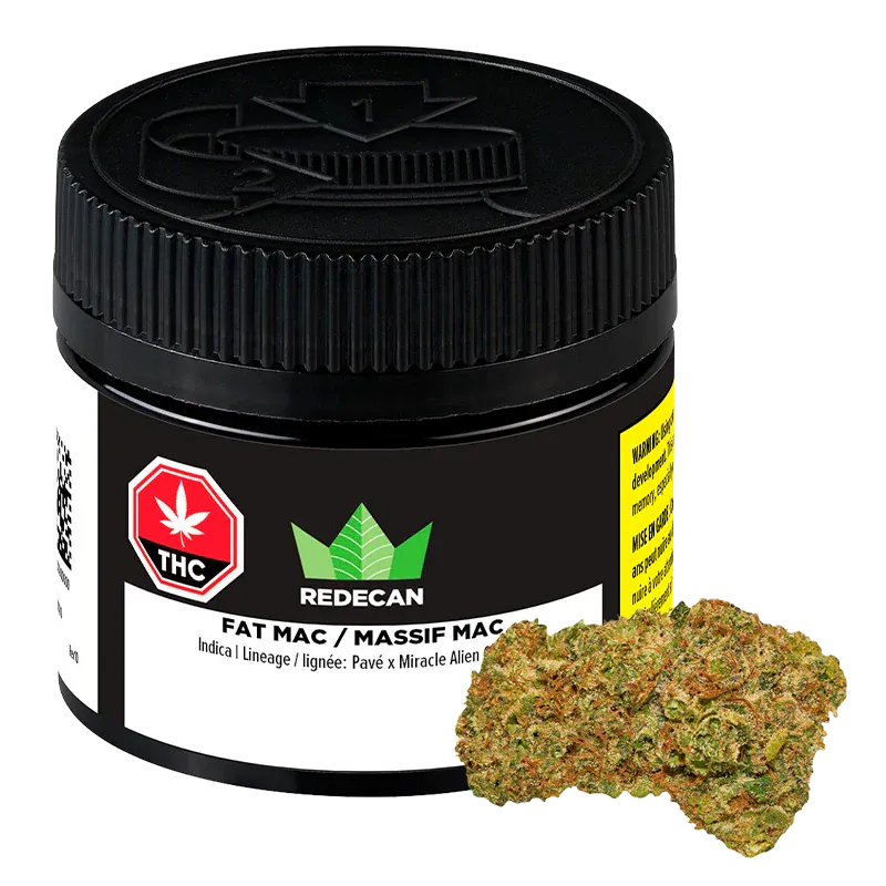 Front-facing shot of a black jar labeled REDECAN FAT MAC with its ribbed screw lid and a cannabis bud resting at the jar's base.