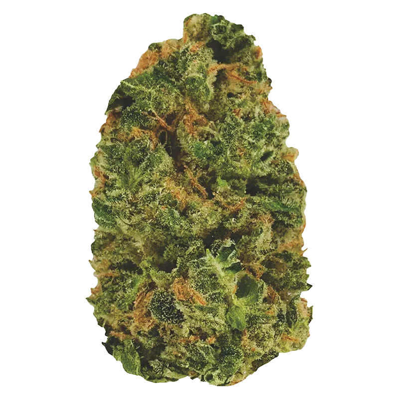 Close-up of a dense green and orange cannabis bud labeled Do Si Dos against a plain white background.