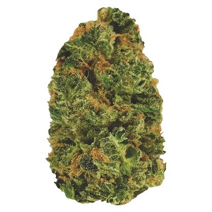 Close-up of a dense green and orange cannabis bud labeled Do Si Dos against a plain white background.