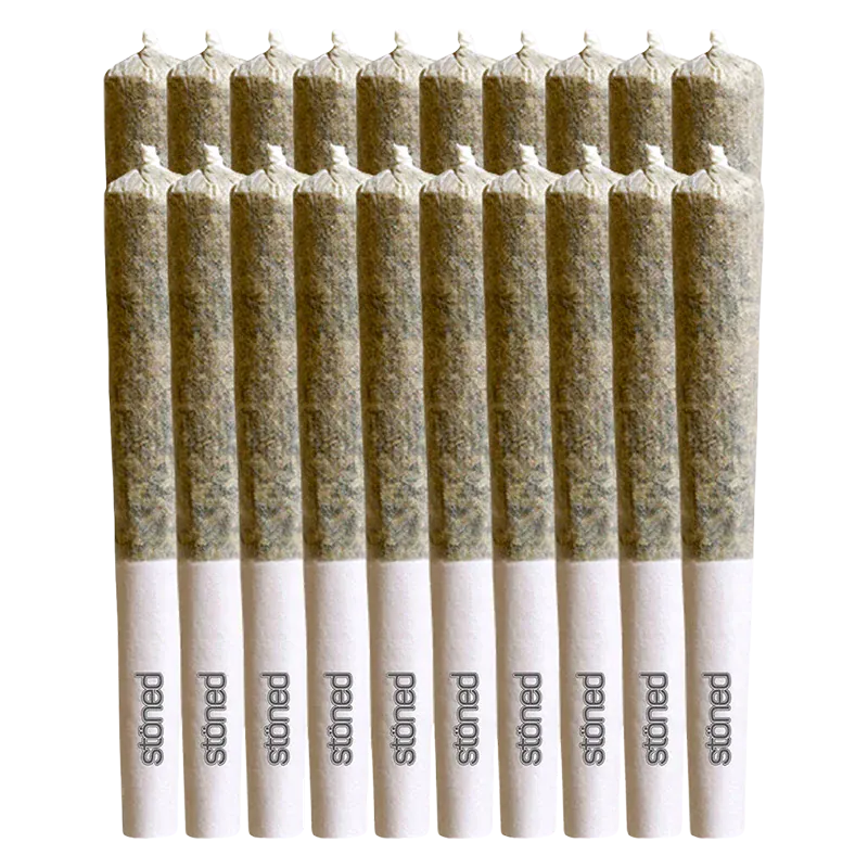 Top-down close-up of neatly aligned pre-rolls showing paper tips and packed herb in a row for Do Si Dos PR 20 x 0.35 g