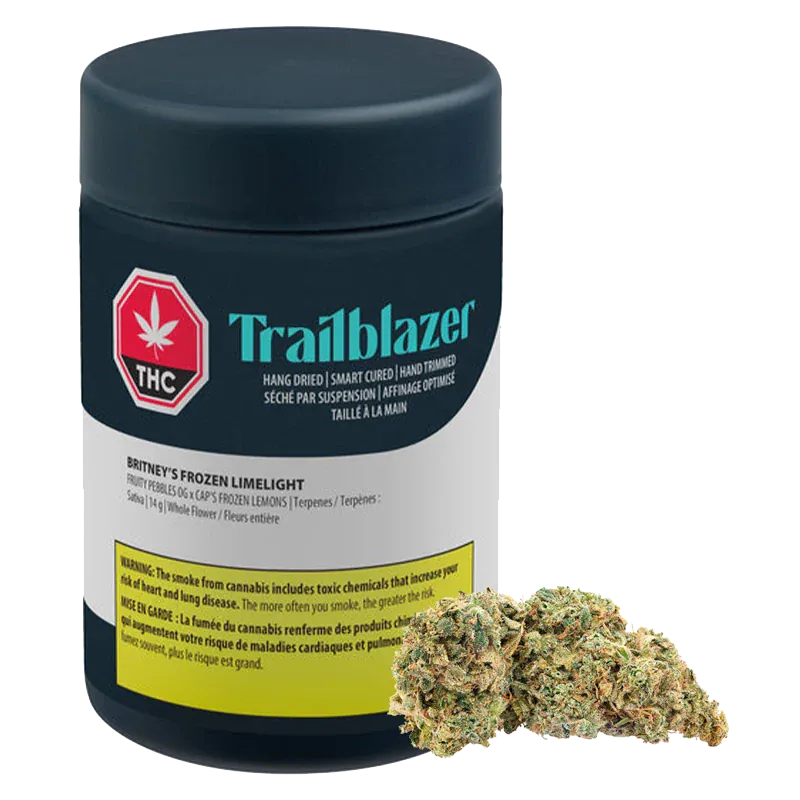 Front three-quarter view of a black Trailblazer jar labeled "Britney's Frozen Limelight" with a bud of green, orange-flecked flower resting at its base.