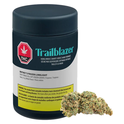 Front three-quarter view of a black Trailblazer jar labeled "Britney's Frozen Limelight" with a bud of green, orange-flecked flower resting at its base.