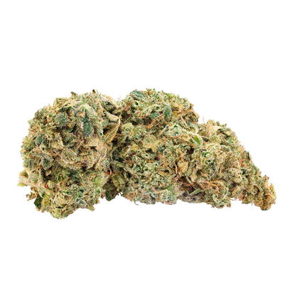 Close-up of a frosty bud of Britney's Frozen Limelight against a white background, showing green leaves and orange hairs.