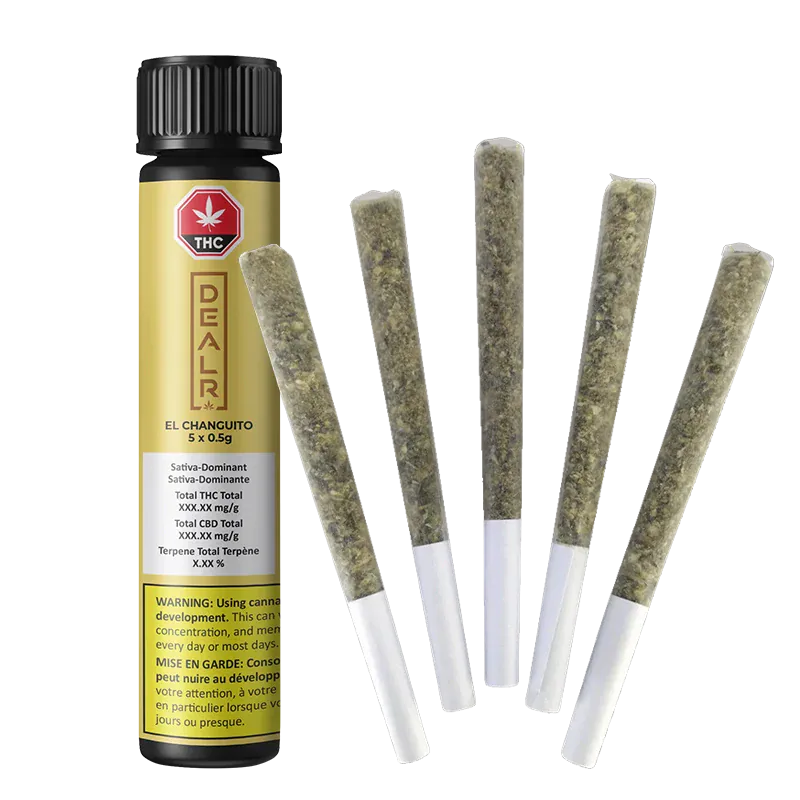 Tall front view of the gold tube and five pre-rolls labeled El Changuito PR 5 x 0.5 g standing fanned beside it.