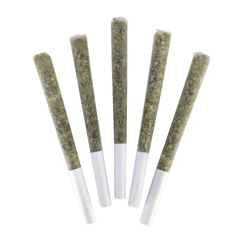 Top-down view of five El Changuito PR 5 x 0.5 g pre-rolls fanned out on a white background showing green herbal fill and white tips.
