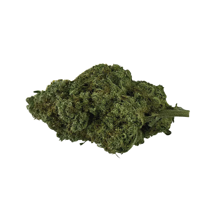 Close-up of a dense green bud of Organic Electric Skunk shown from a slightly angled top view against a plain white background.