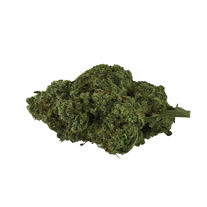 Close-up of a dense green bud of Organic Electric Skunk shown from a slightly angled top view against a plain white background.