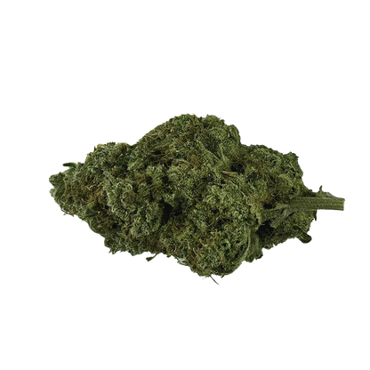 Close-up of a single green bud of Organic Electric Skunk shown from a slight top angle against a plain white background.