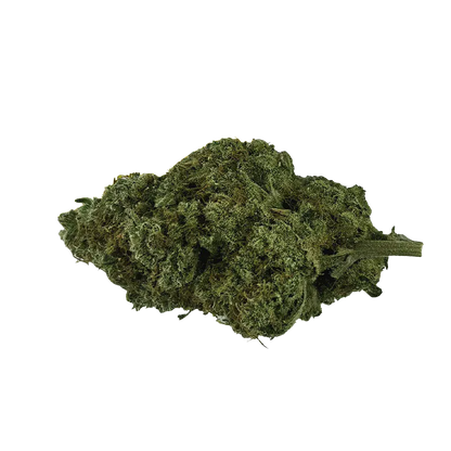 Close-up of a single green bud of Organic Electric Skunk shown against a white background, side view highlighting its dense trichome-covered surface