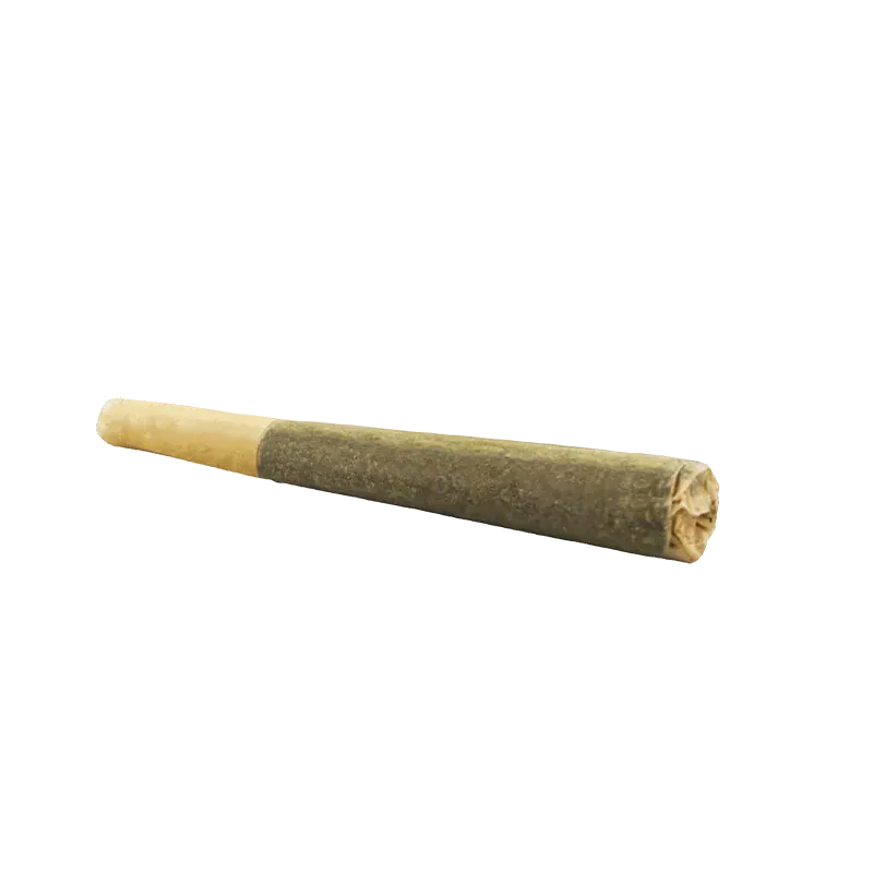 Angled close-up of the rolled Organic Electric Skunk PR 1 x 0.5 g joint on a white background, showing the twisted tip and beige filter.