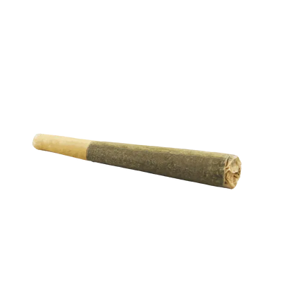 Angled close-up of the rolled Organic Electric Skunk PR 1 x 0.5 g joint on a white background, showing the twisted tip and beige filter.