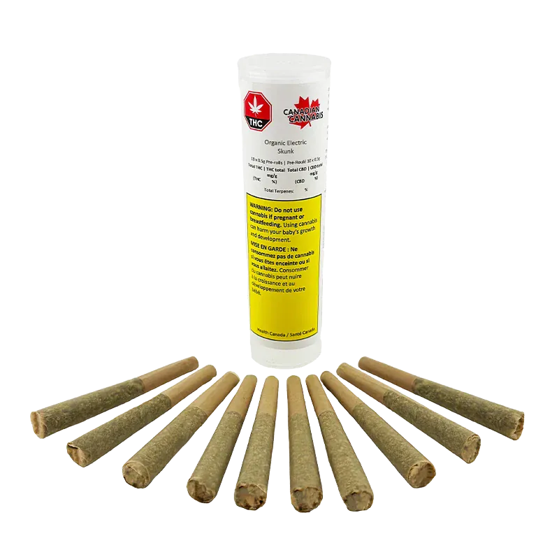 Centered tube of Organic Electric Skunk PR 10 x 0.5 g with a yellow warning label, photographed front-on with twelve pre-rolls fanned in front on a white background