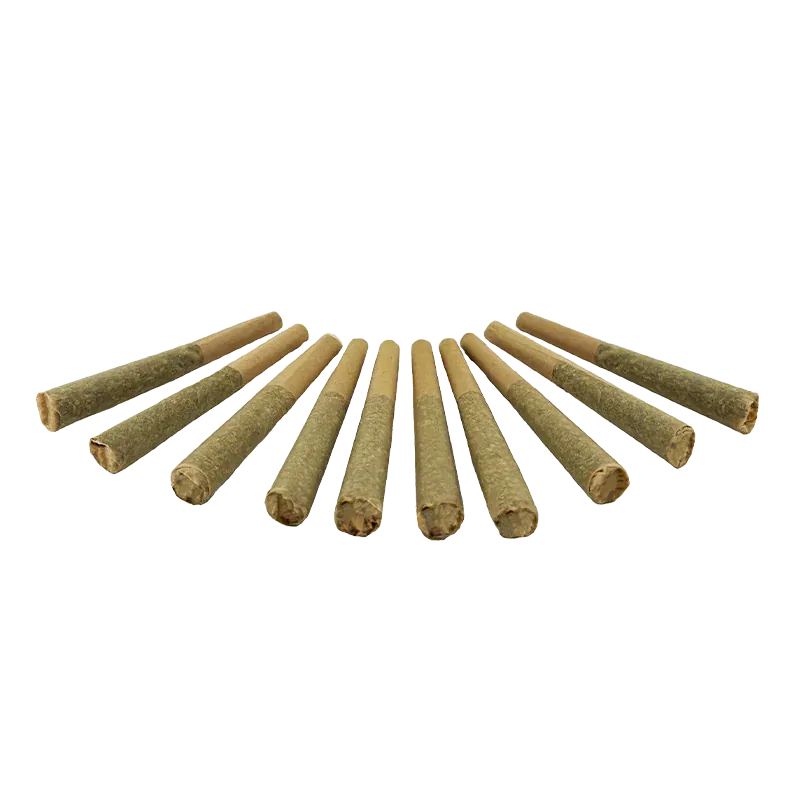 Low-angle view of eleven Organic Electric Skunk PR 10 x 0.5 g pre-rolls fanned out on a white background, showing textured brown paper and packed tips.