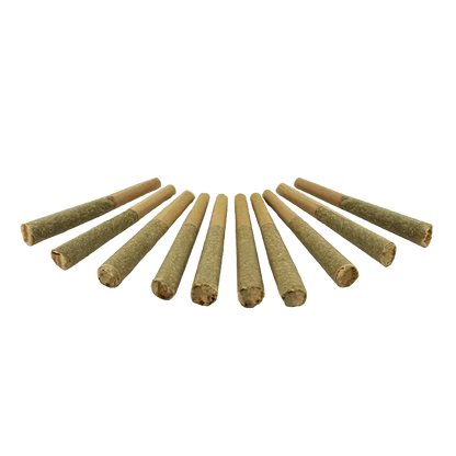 Low-angle view of eleven Organic Electric Skunk PR 10 x 0.5 g pre-rolls fanned out on a white background, showing textured brown paper and packed tips.