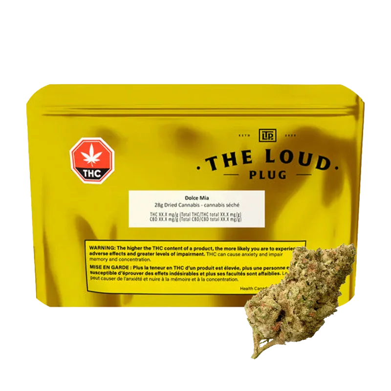 Front-facing shot of a yellow pouch and a cannabis bud, labeled "Dolce Mia" by The Loud Plug in black text on the pouch.
