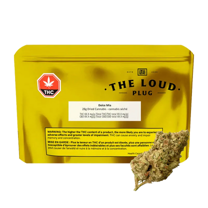 Front-facing shot of a yellow pouch and a cannabis bud, labeled "Dolce Mia" by The Loud Plug in black text on the pouch.