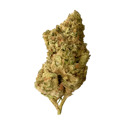 Single top-down view of a frosty, light-green Dolce Mia cannabis bud with orange pistils against a white background
