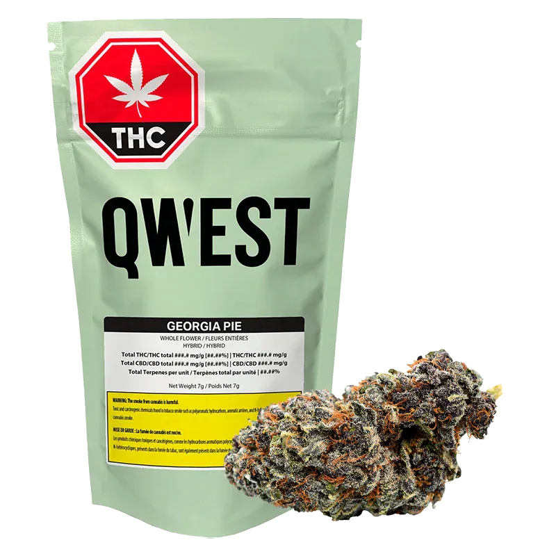 Front-facing pale green pouch labeled QWEST Georgia Pie with a 7 g net weight, shown beside a close-up of a frosty, purple and orange cannabis bud.
