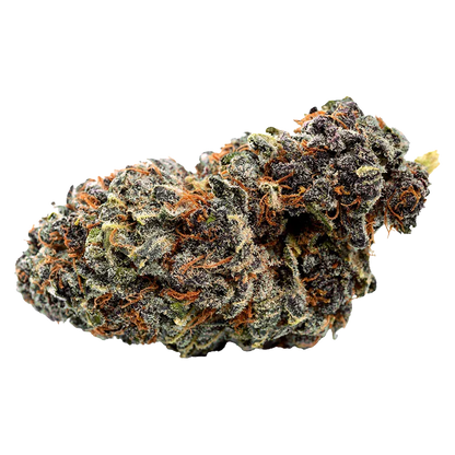 Close-up of a frosty, purple-tinged Georgia Pie Flower cannabis bud with bright orange pistils against a white background