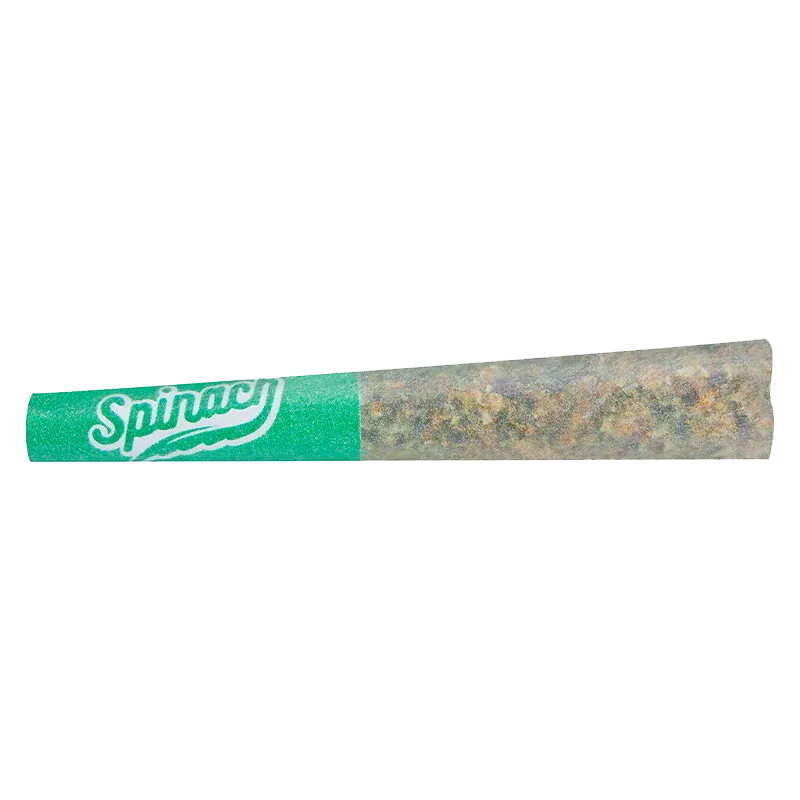 Close-up side view of the Blue Thai #2 PR 1 x 0.5 g pre-roll with a green Spinach-branded filter and visible ground flower through the paper.