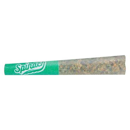 Close-up side view of the Blue Thai #2 PR 1 x 0.5 g pre-roll with a green Spinach-branded filter and visible ground flower through the paper.