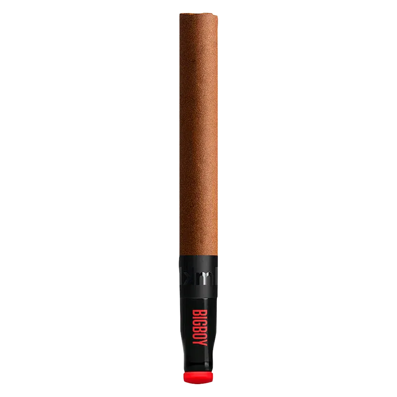 Straight-on view of a slim brown vape pen with a black mouthpiece labeled "BIGBOY PR 1 x 2 g" against a white background.