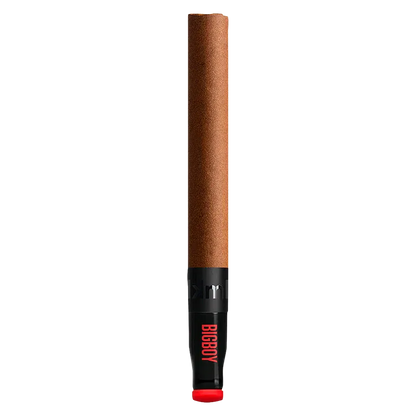 Straight-on view of a slim brown vape pen with a black mouthpiece labeled "BIGBOY PR 1 x 2 g" against a white background.