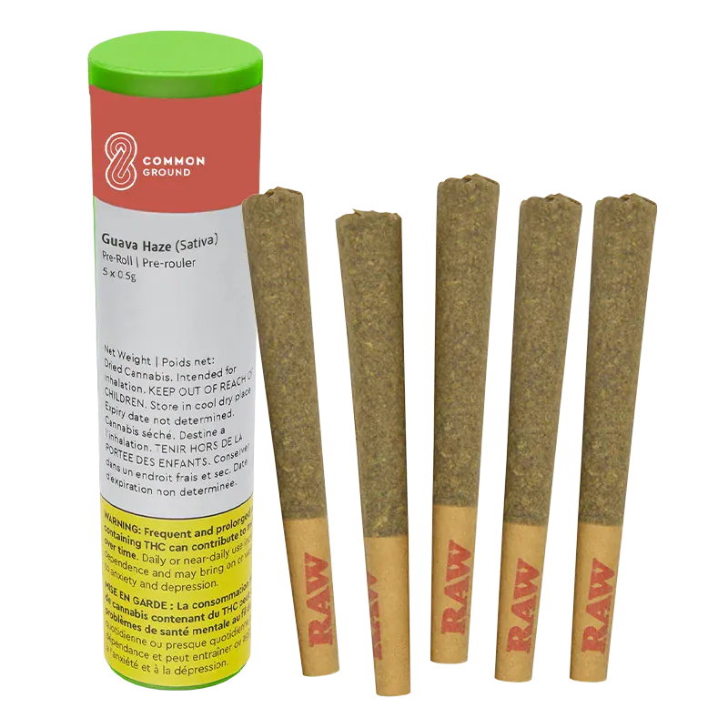 Five pre-rolls standing upright next to a green-topped tube of Common Ground Guava Haze PR 5 x 0.5 g on a white background.